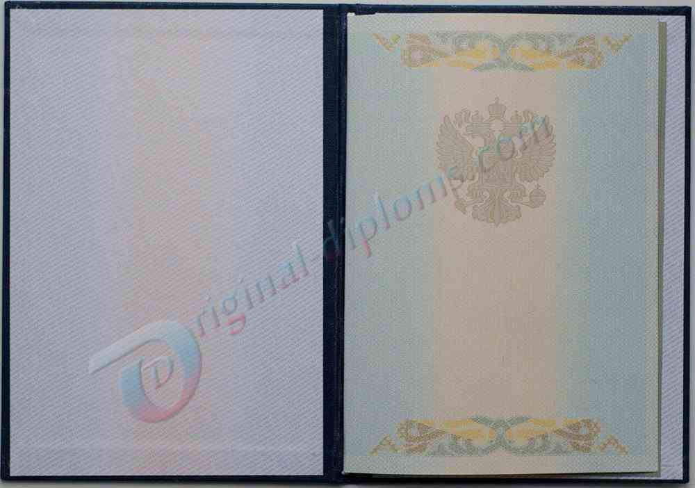 Купить Диплом бакалавра  2004-2009 год