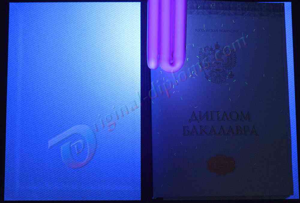 Диплом бакалавра 2014-2027