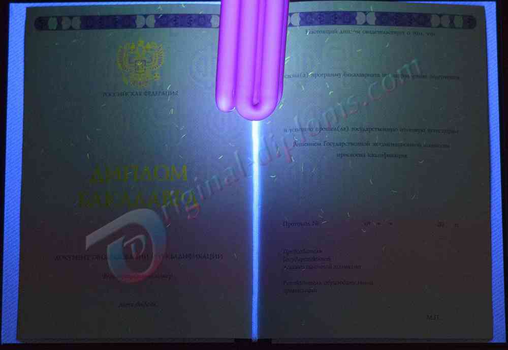 Диплом бакалавра 2014-2027