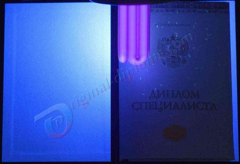 Диплом специалиста 2014-2027